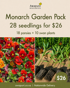 Flower Combo - Monarch Garden Pack